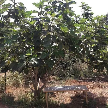 Daire Residences Du Monde Moriani Plage